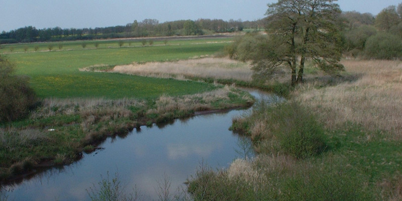 Ein Gewässer in offener Landschaft