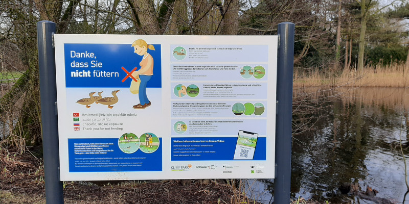 Schautafeln informieren über das schädliche Entenfüttern in Bremen