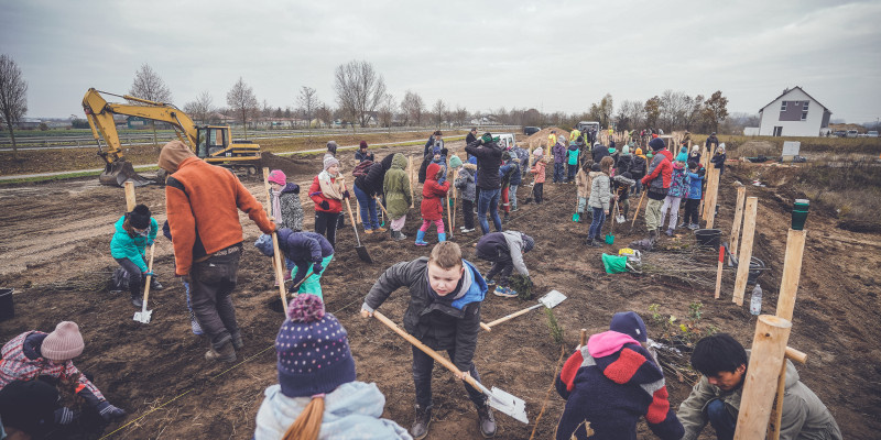 Mit über 200 Menschen ist ein Tiny Forest schnell gepflanzt!