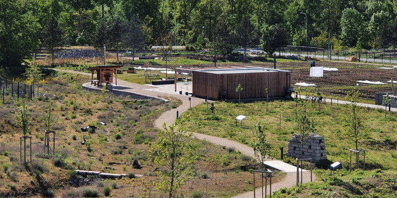 Das Bild zeigt einen Teil des Alnatura Campus (Renaturierungsfläche, Streuobstwiese, Tiny Forest, Pachtgärten)
