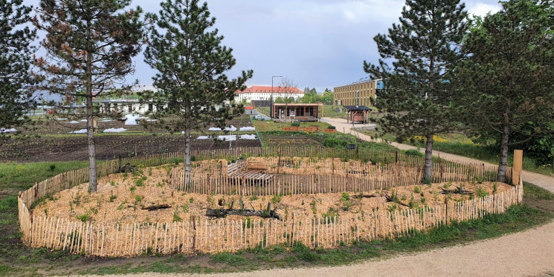 Das Bild zeigt den frisch gepflanzten Tiny Forest auf dem Alnatura Campus in Darmstadt. 