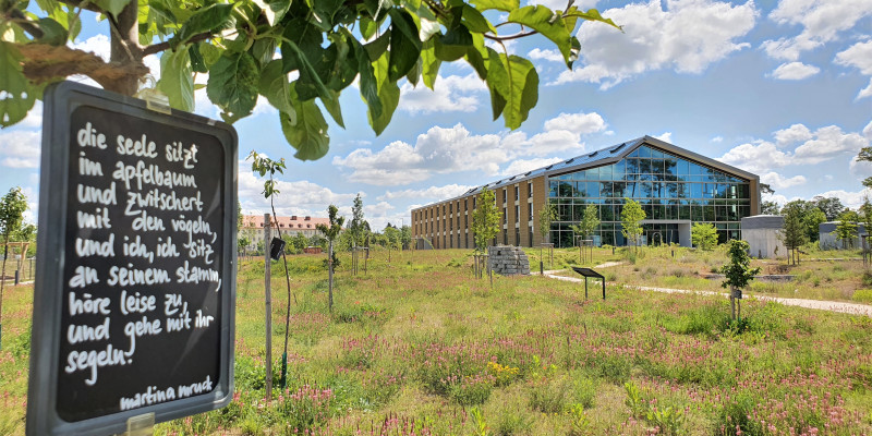 Das Bild zeigt den Alnatura Campus mit Blick über die Obstwiese und die Alnatura Arbeitswelt. 