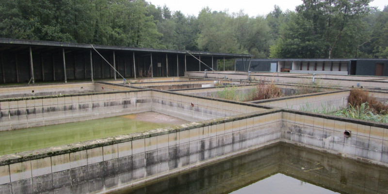 Blick auf die verlassene Fischzucht, hier die Hälterungsanlagen September 2018 vor der Erlenwaldkulisse des NSG Niersbruch