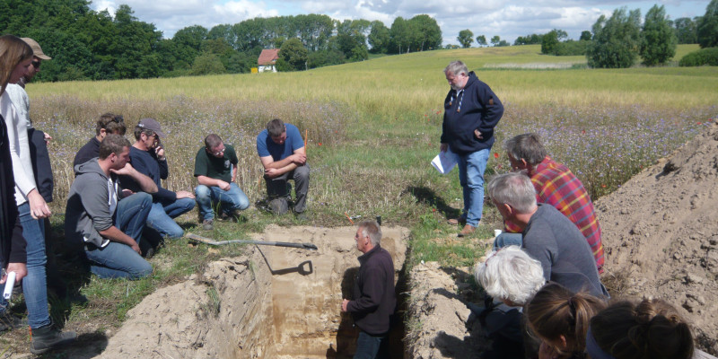 Mitglieder der Cropping School begutachten einen Lupinenschlag