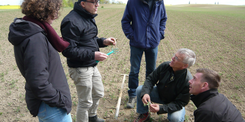 Mitglieder der Cropping School begutachten das Bodenprofil eines Ackerschlags