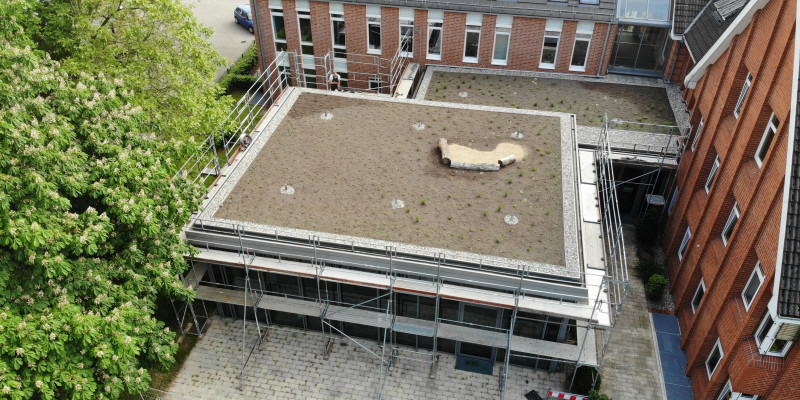 Die Dachbegrünung auf dem Sitzungssaal hinter dem Rathaus aus der Luft fotografiert zum Ende der Bauphase