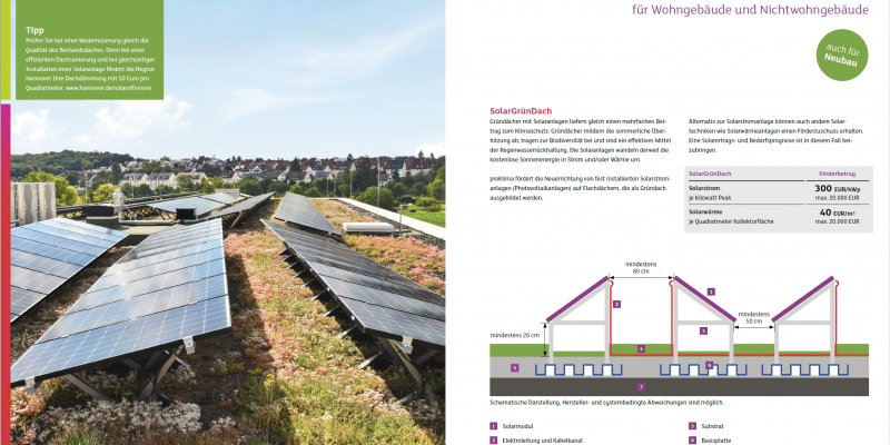Das Bild zeigt die Doppelseite zum SolarGrünDach Förderangebot aus der proKlima Energiewende Richtlinie 2021