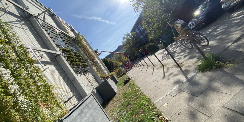 Die Seitenansicht zeigt die Pflanzcontainer an der begrünten Fassade