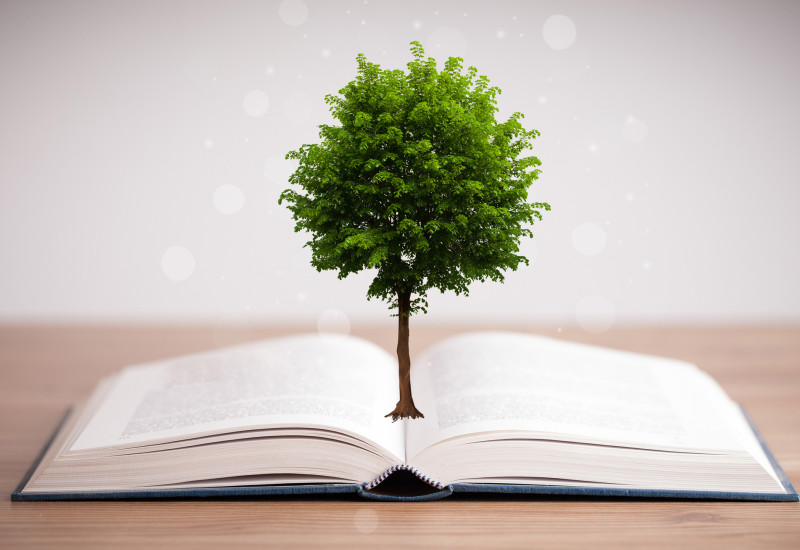 Book blooming out of a tree