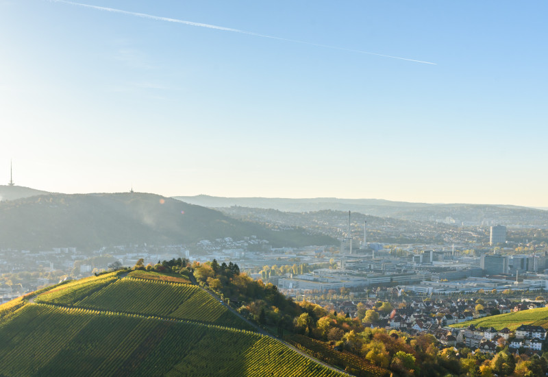 Weinberge bei Stuttgart.