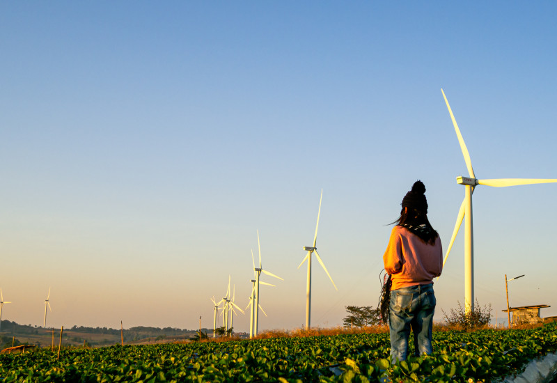 Eine Person steht rücklings in einem Feld mit grünen Pflanzenreihen und blickt auf eine weitläufige Hügellandschaft, in der zahlreiche weiße Windkraftanlagen unter einem klaren Abendhimmel stehen.