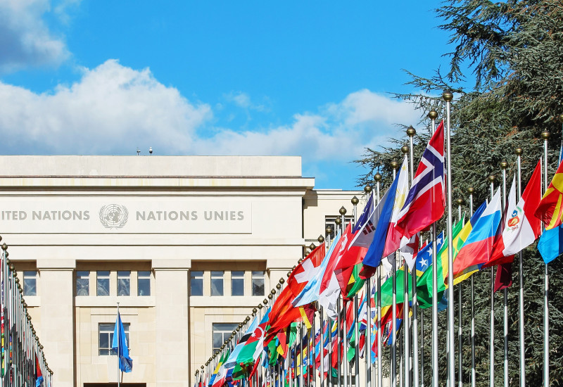 Picture of the UN building with flags in front of it 