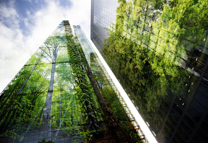 skyscrapers with glass facades, in which trees reflect