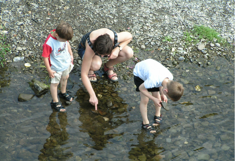 Foto: Eine erwachsene Person und zwei Kinder, die mit den Füßen im Wasser direkt am Ufer der Ruhr stehen und die Steine im Gewässer betrachten. 