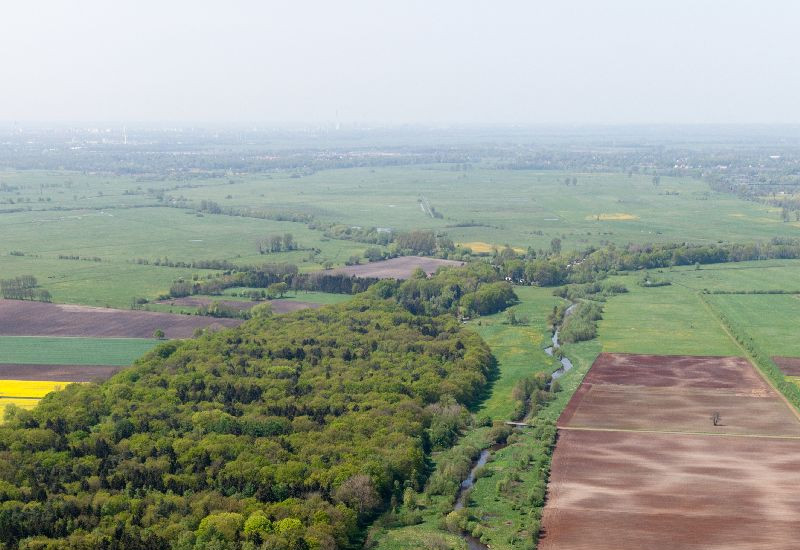 Luftbild eines renaturierten Abschnitts der Wümme. Mehrere Nebengerinne liegen entlang des geschwungenen Verlaufs des Hauptgewässers. Auf der einen Seite des Gewässers trennt ein Saum aus Gehölzen das Gewässer von den angrenzenden landwirtschaftlichen Flächen ab. Auf der anderen Seite finden sich Gras- und Waldflächen. 