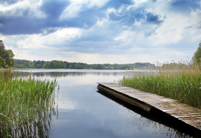 Lake in Brandenburg