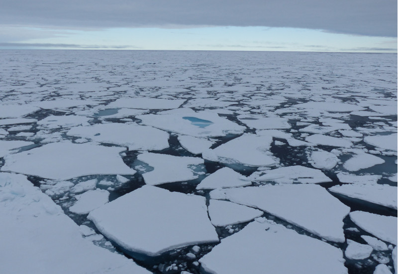 Eisschollen in der Arktis.