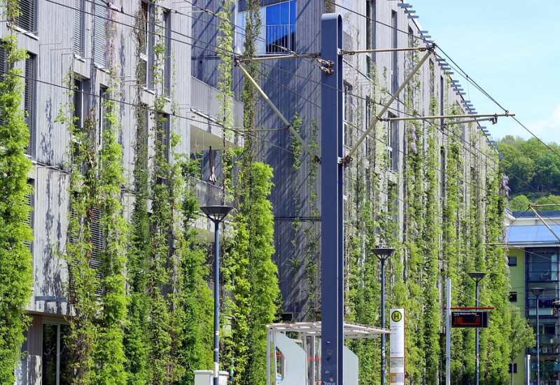 Eine begrünte Hauswand in der Stadt, vor der eine Straßenbahnhaltestelle steht.