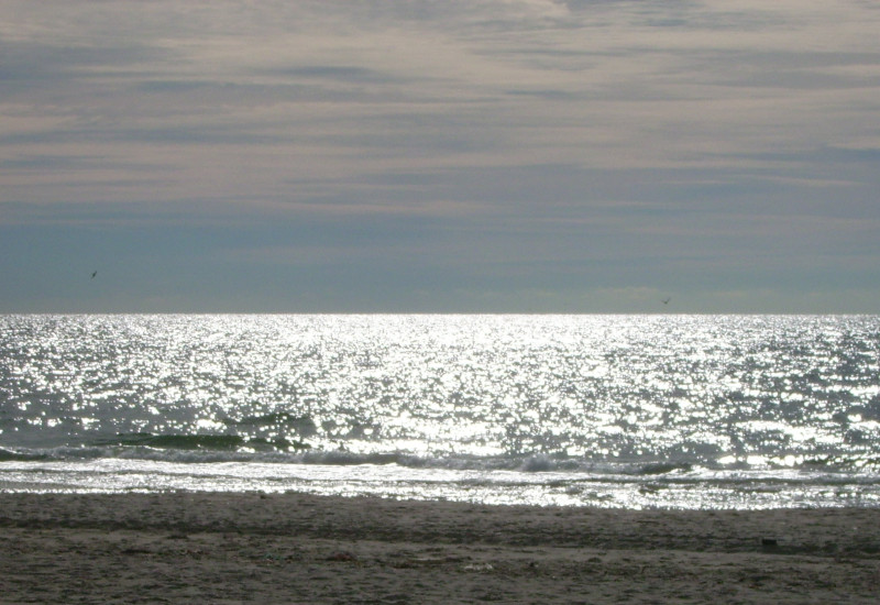 Das Foto zeigt einen Blick auf die Wasseroberfläche der Nordsee. 