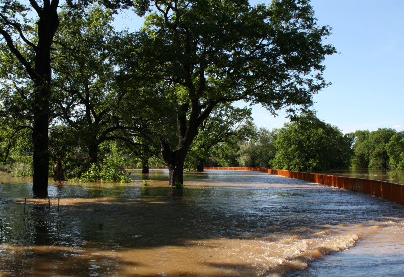 Flooded elbe river near Dessau