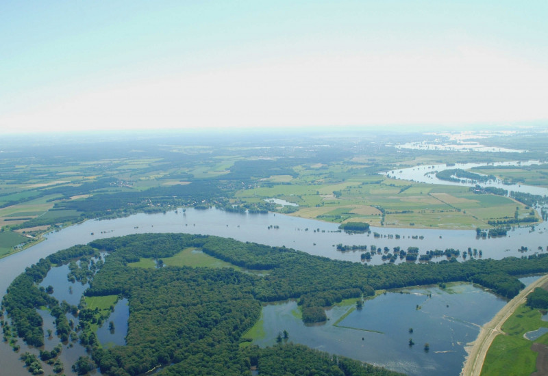 The River Elbe during a flood in the Elbe Biosphere Reserve