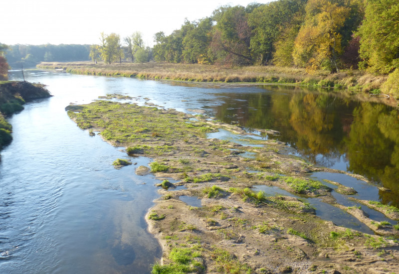 Niedrigwasser der Mulde bei Dessau