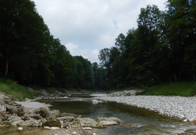 Bild von einem Fluss in Deutschland