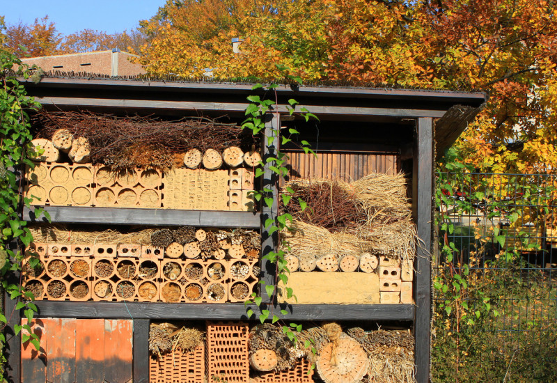 Insektenhotel