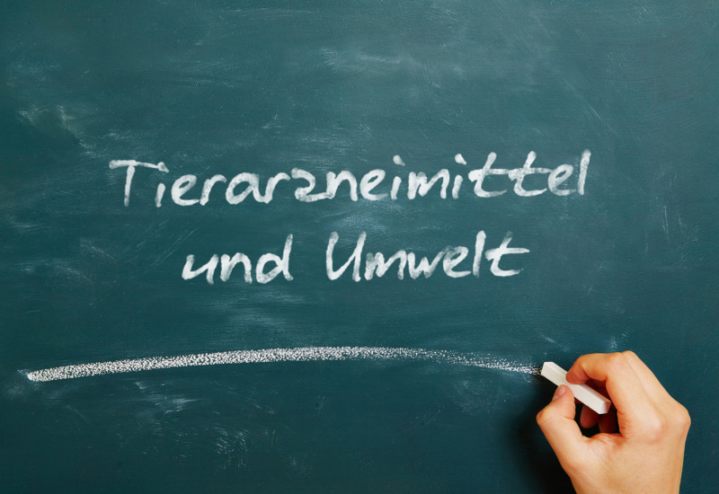 Foto einer Tafel mit dem Schriftzug „Tierarzneimittel und Umwelt“, darunter eine Hand mit Kreide, mit der ein horizontaler Strich auf die Tafel gemalt wurde.