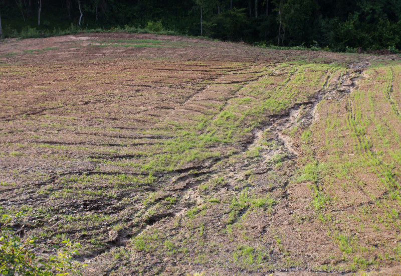 Auf dem Foto ist ein landwirtschaftlich genutzter Boden zu sehen. Dieser ist stark durch Bodenerosion, mutmaßlich im Zusammenhang mit einem Starkregenereignis, geprägt. Durch den Boden ziehen sich viele kleinere und ein großer, sandiger Riss durch den fruchtbaren Boden weggespült wurde.