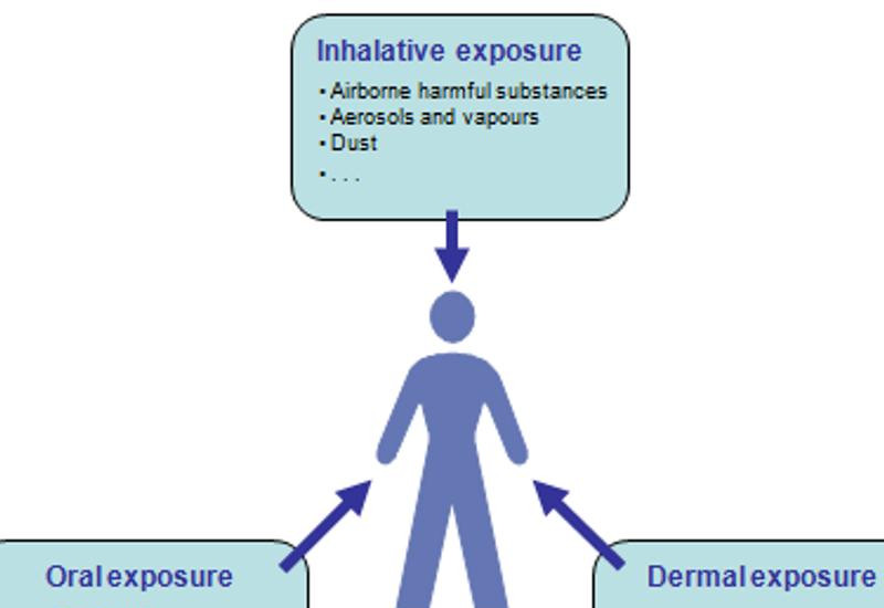 diagram presenting oral, dermal and inhalativ exposure to man