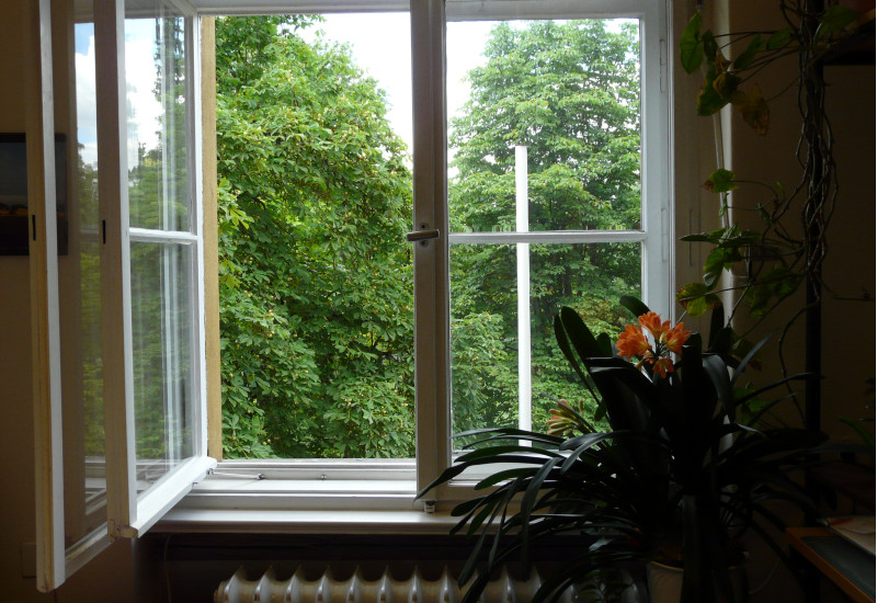 geöffnetes Fenster im Altbau
