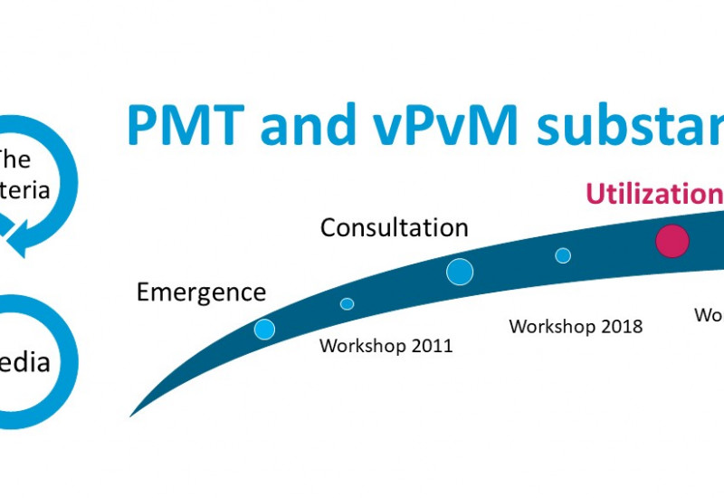 Utilization of the criteria to identify PMT/vPvM substances