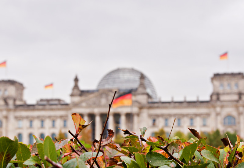the Reichstags dome behind plants