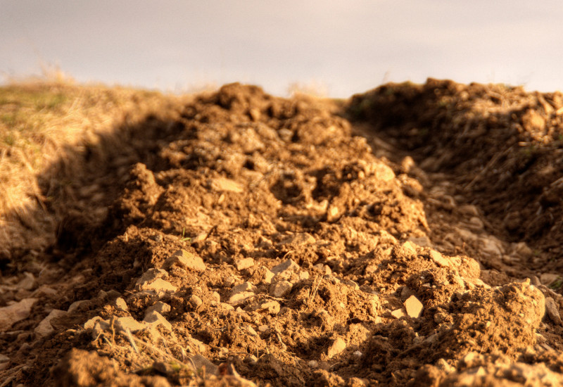 freshly ploughed field