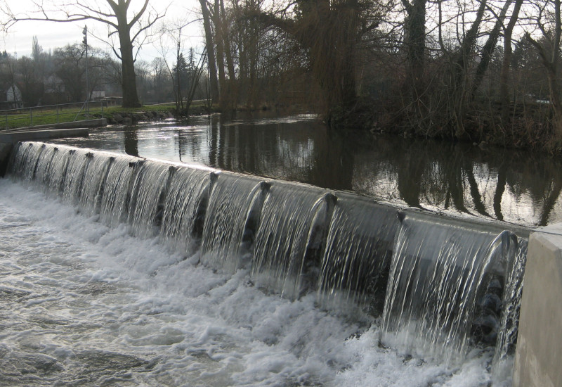 Die Wasserkraftanlage in Bad Sulza mit dem Wehr Bäume und Sträucher