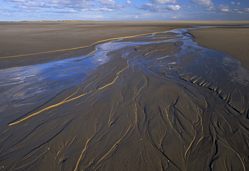 Priel