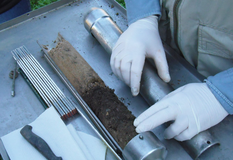 Gathering soil samples in the forest.