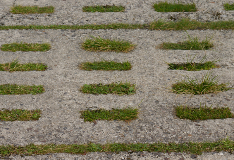 Foto von Betonplatten mit Grasdurchwuchs.