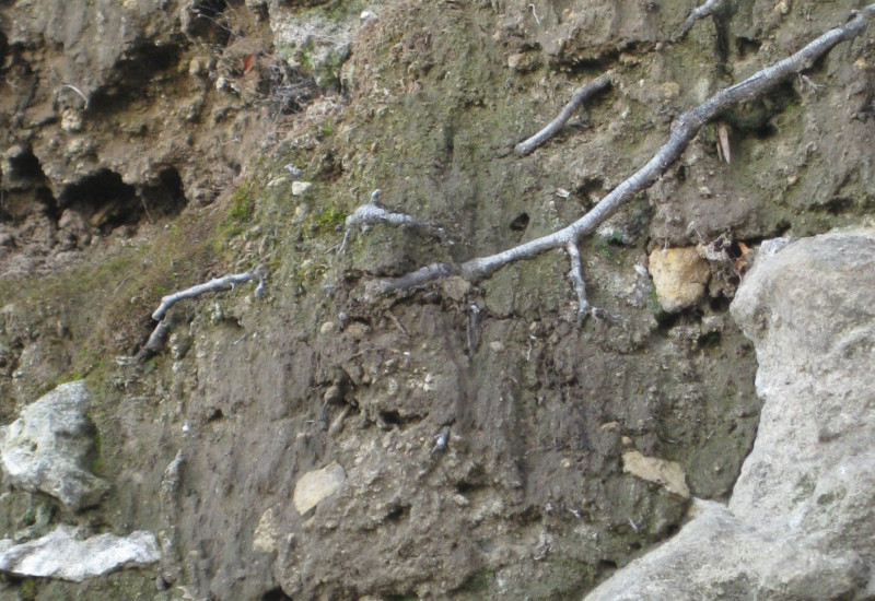 Gestein und Boden
