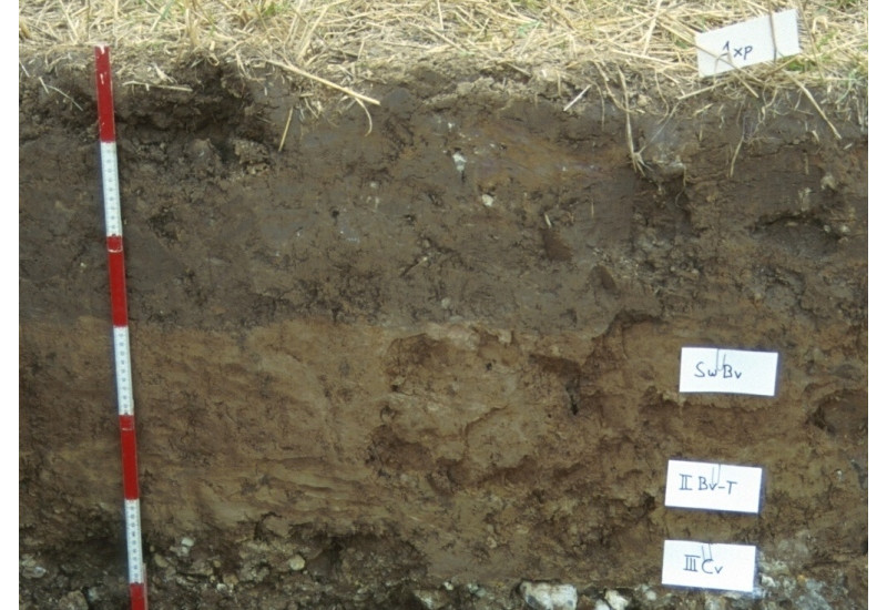 A soil profile with differently coloured layers of brown earth.