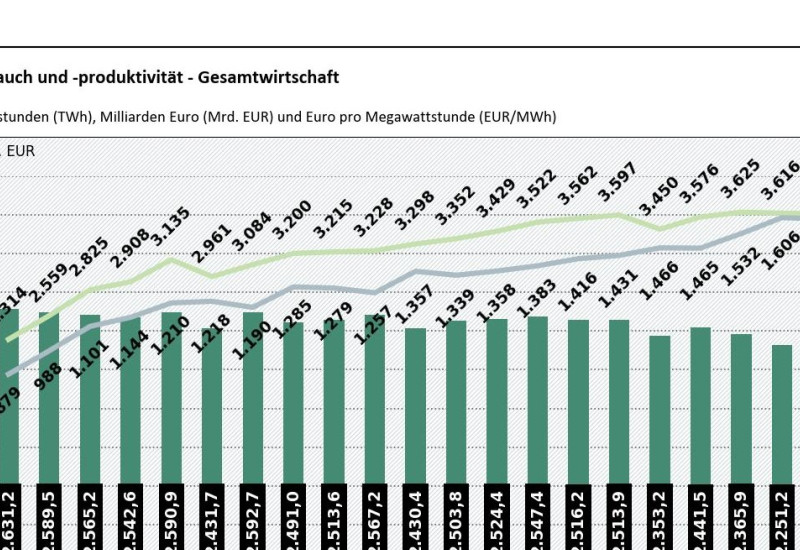 In der Abbildung ist ein Balkendiagramm dargestellt, welches den jährlichen Endenergieverbrauch zwischen 1990 und 2024 darstellt. Darüber hinaus sind Endenergieproduktivität und Bruttoinlandsprodukt darüber als Liniendiagramm abgebildet. Es ist ersichtlich, dass Endenergieproduktivität stetig steigt, ebenso das Bruttoinlandsprodukt, welches jedoch einen sichtbaren Einbruch im Jahr 2009 und 2020 aufzeigt.