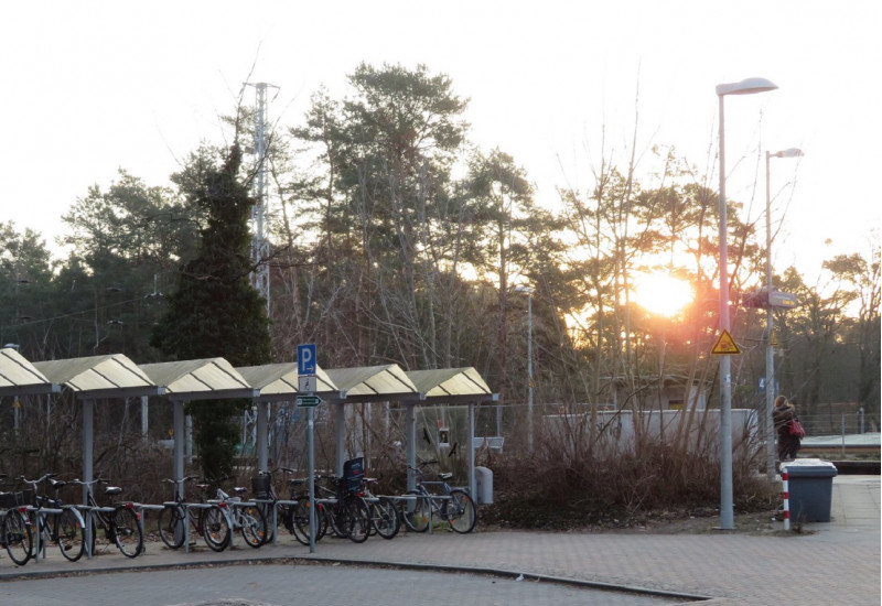 überdachte Fahrradständer und ein Parkplatz-Schild an einem Bahnsteig, im Hintergrund geht hinter Bäumen die Sonne auf, eine Frau wartet auf den Zug