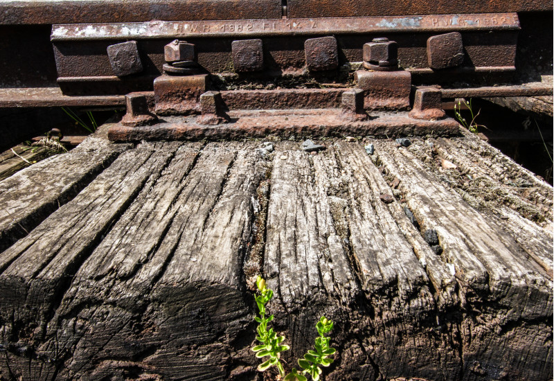 alte Holz-Bahnschwelle mit tiefen Rissen