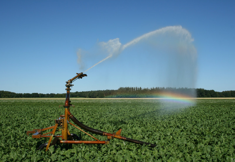 Ein Wassersprenger bewässert ein Feld 