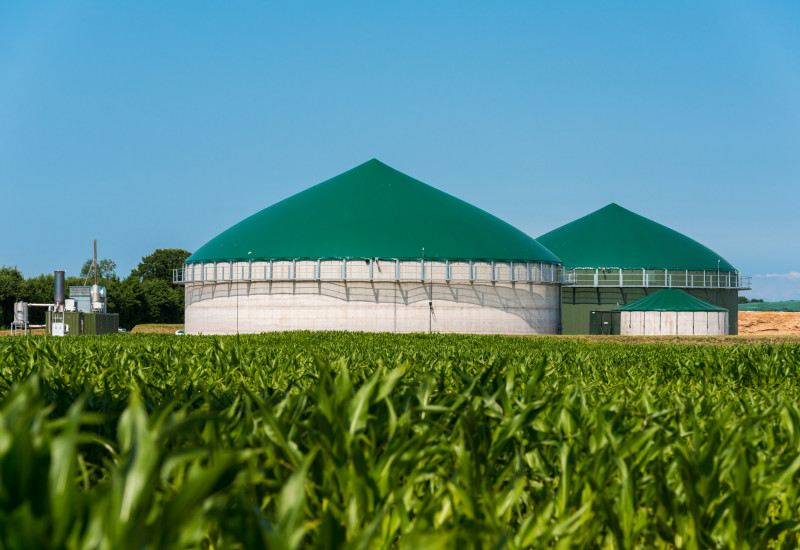 Biogasanlage, davor ein Maisfeld