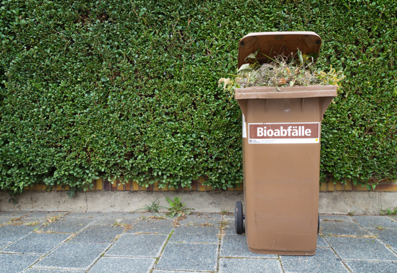 auf einem Gehweg steht vor einer grünen Hecke eine braune Mülltonne, auf der "Bioabfälle" steht und aus der Gartenabfälle herausgucken