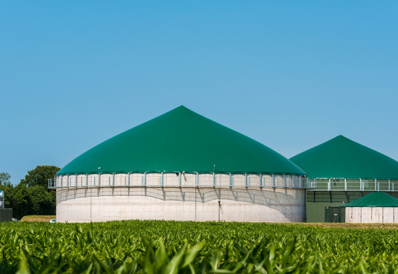 Biogasanlage, im Vordergrund ein Maisfeld