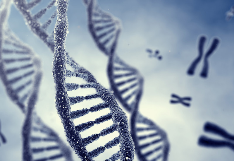 DNA stylised