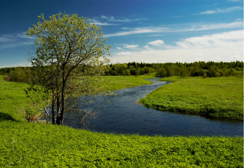 Flussbiegung in einer Landschaft aus Wiesen, Feldern und Wäldern, an der Flussbiegung steht ein Baum